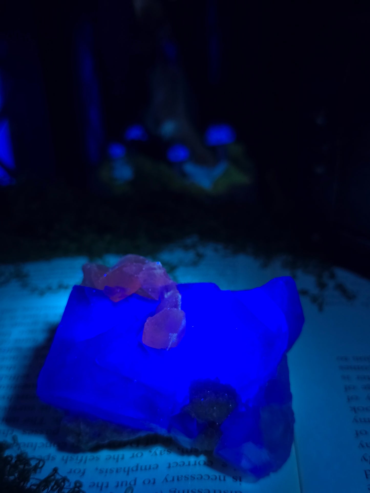 Daye Fluorite w/ Petal Calcite on sugary Quartz