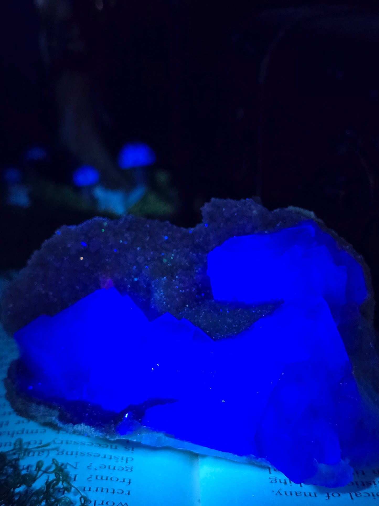 Cubic Daye Fluorite on sugary Quartz
