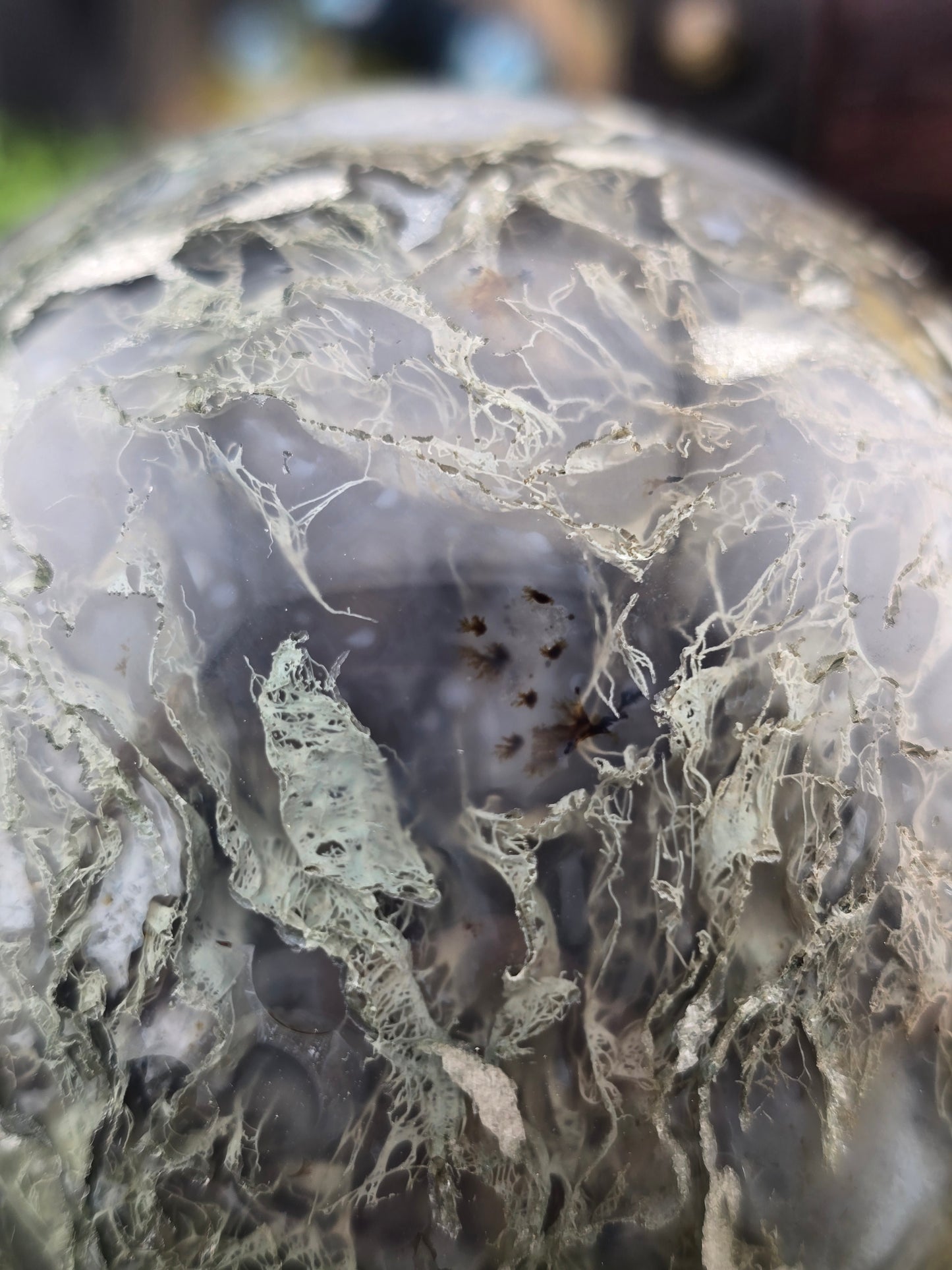Moss Agate w/ Dendrites