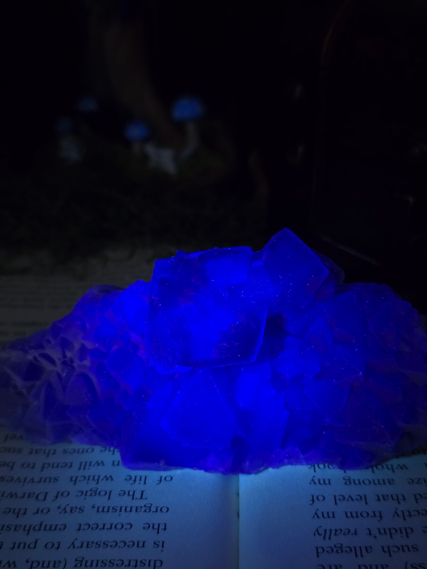 Octahedral Fujian Fluorite