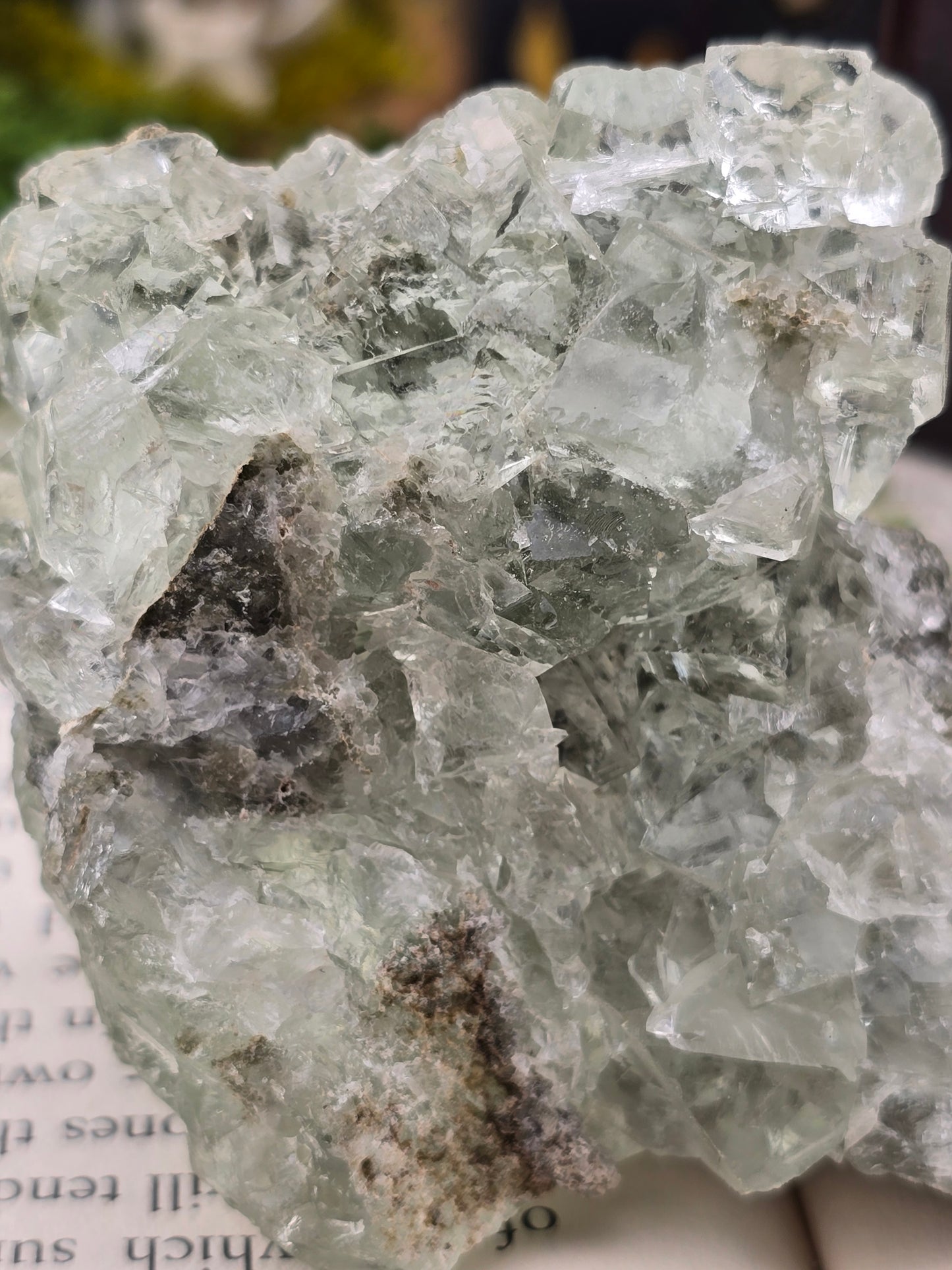 XHL Glassy Fluorite