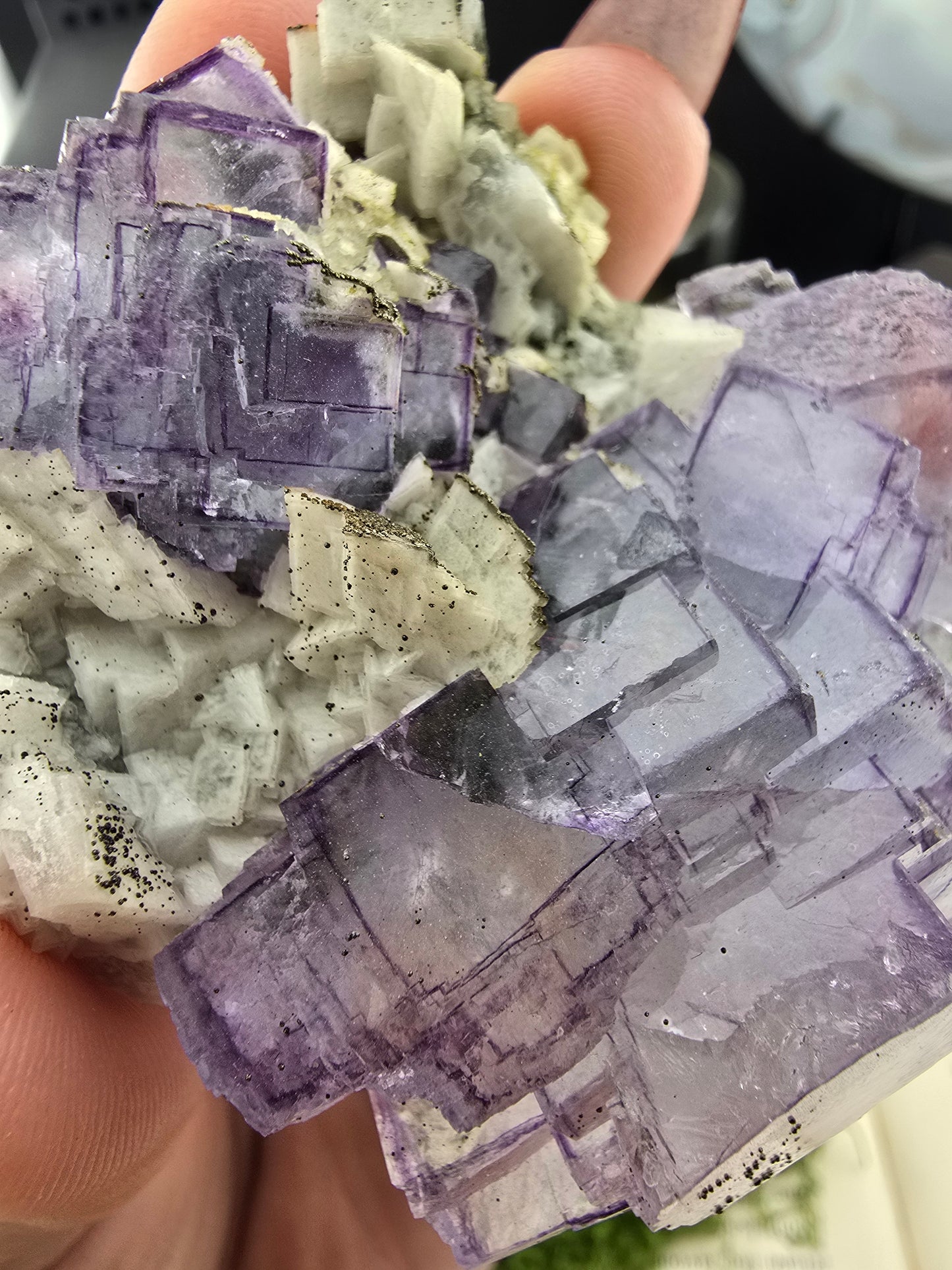 Fluorite w/ Calcite, Chlorite, and Pyrite