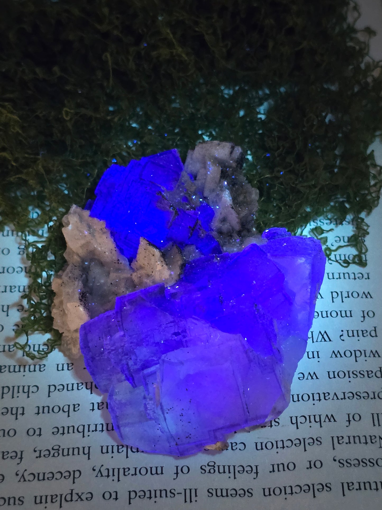 Fluorite w/ Calcite, Chlorite, and Pyrite