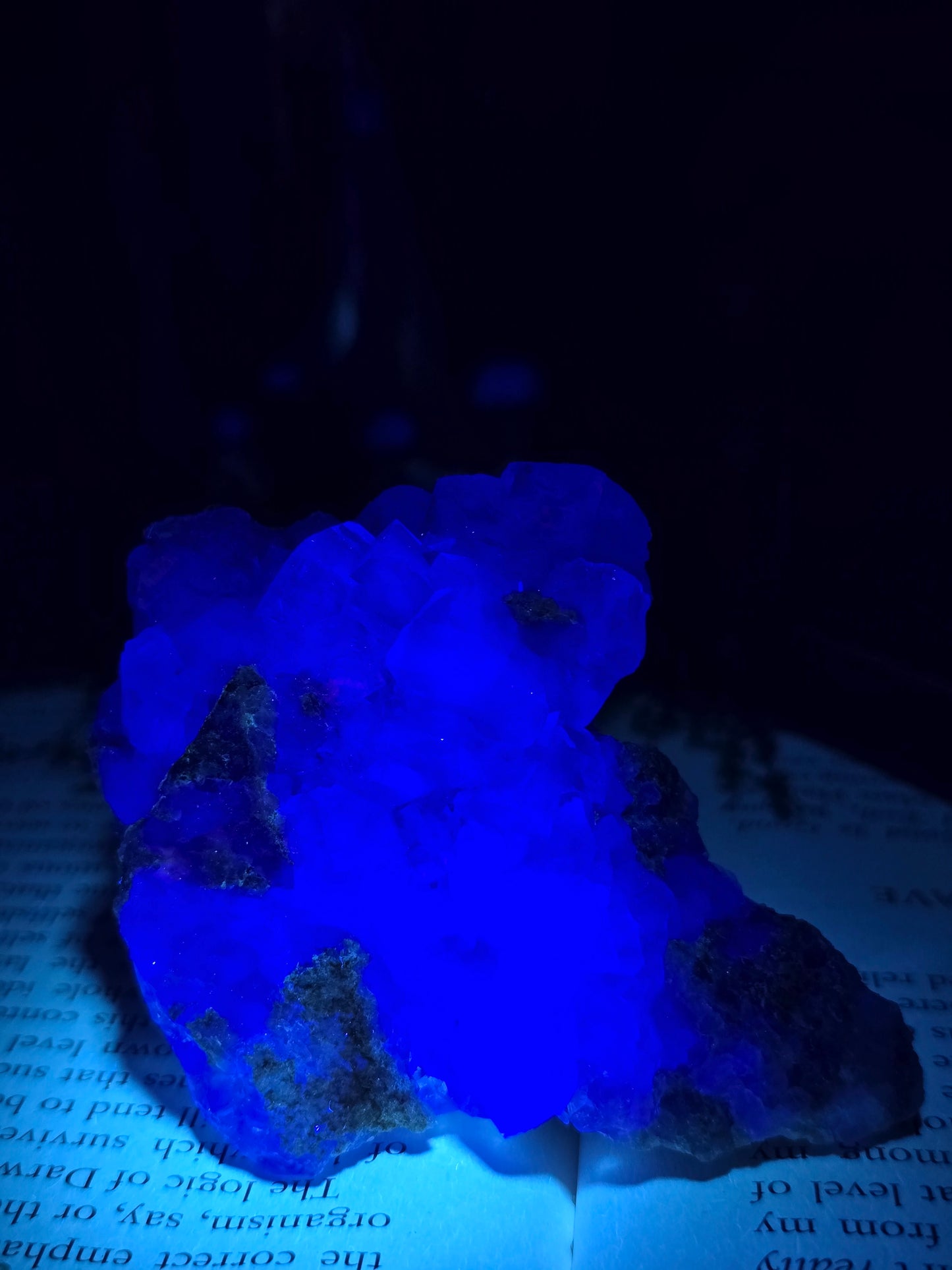 XHL Glassy Fluorite
