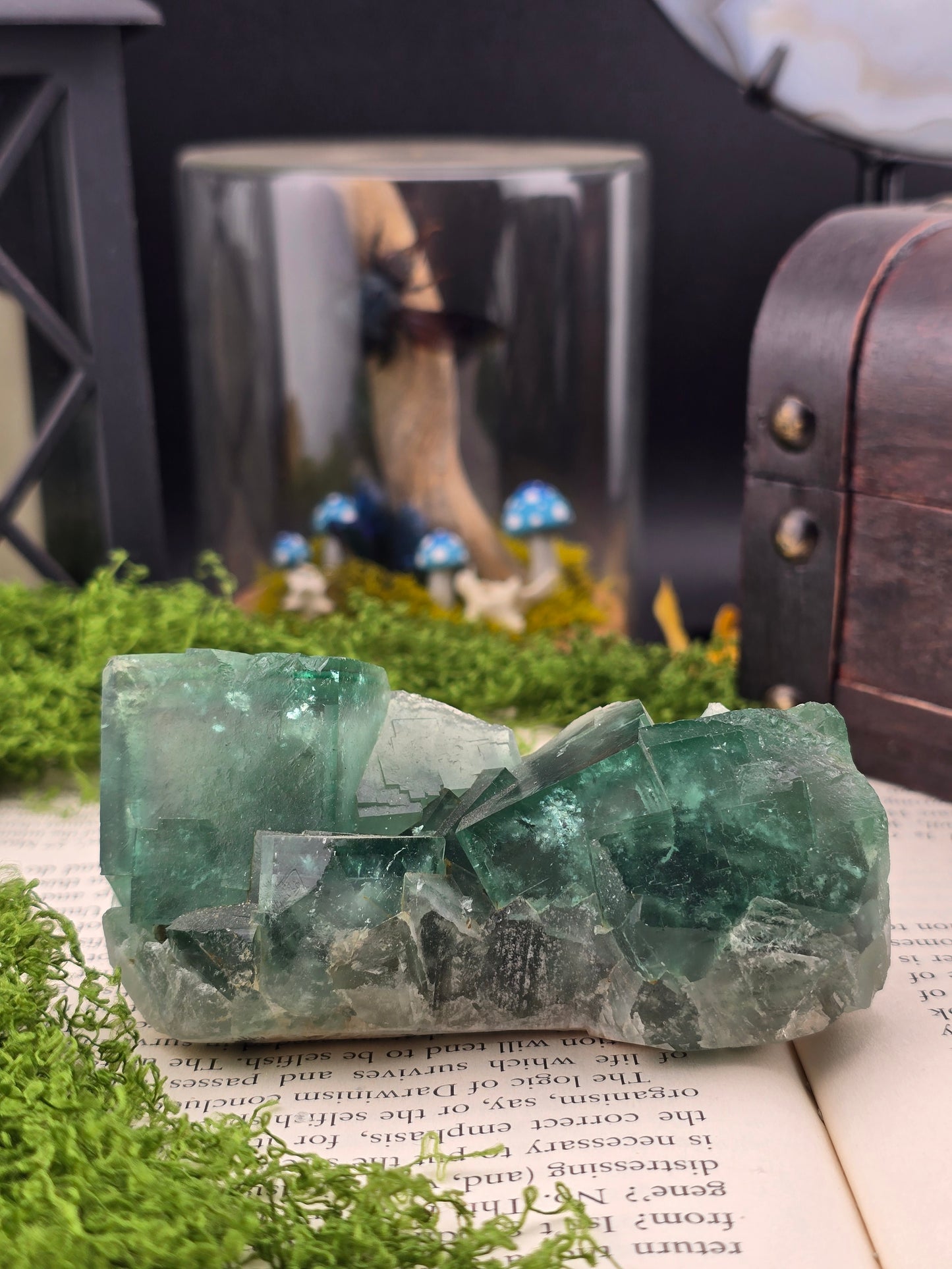 Sunlight Fluorite