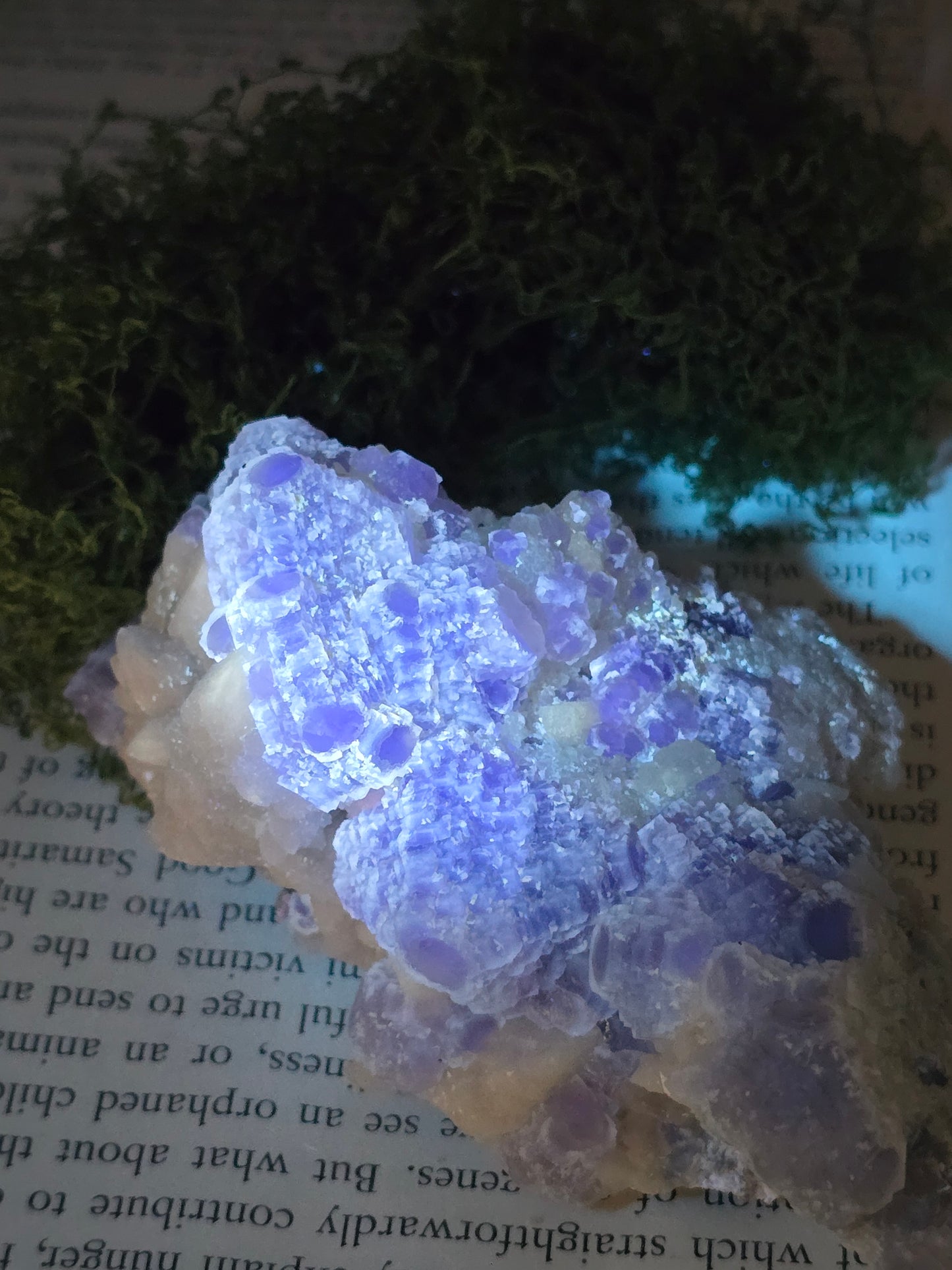 Devils Eye Stepped Fluorite