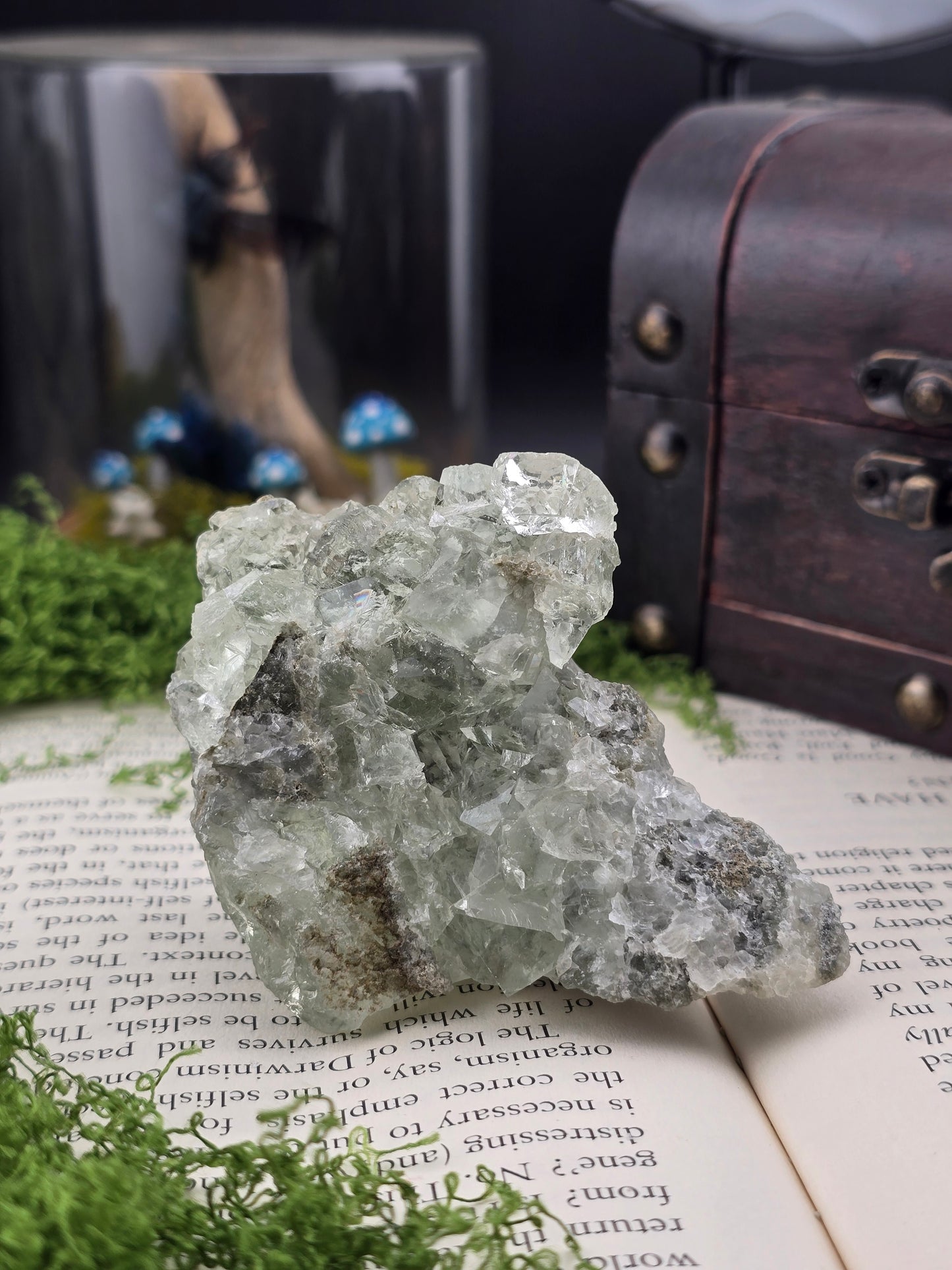 XHL Glassy Fluorite